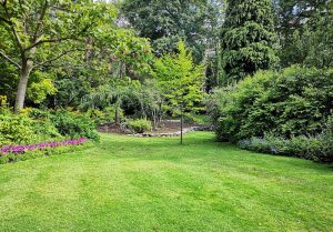 Optimiser l'expérience du jardin à Vennezey